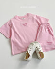 Velvet Embroidery Set