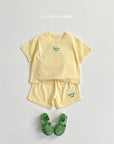Velvet Embroidery Set
