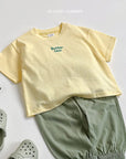 Velvet Embroidery Set