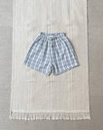 Beach Check Shorts