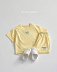 Velvet Embroidery Set