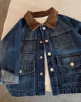 Little Foxx – Collar Corduroy Jacket