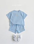 Velvet Embroidery Set