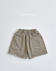 Pigment Shorts