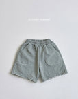 Pigment Shorts