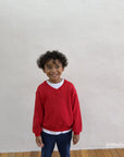 Little Foxx – Soft V-Neck Sweatshirt