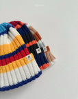 Multi Beanie