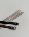 Acorn Belt