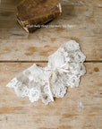 Little Foxx – Cecile Lace Cape