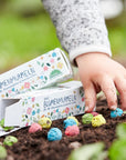 Blumenmurmeln - Bunte Seedbombs –