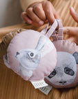 Rassel Hase –
