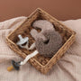 Teddy Schnulleranhänger Mond – #product_subtitle# | #product_description_first_paragraph#