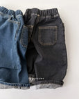 Point Pleated Brushed Denim Pants