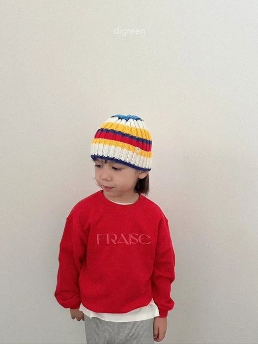 Multi Beanie