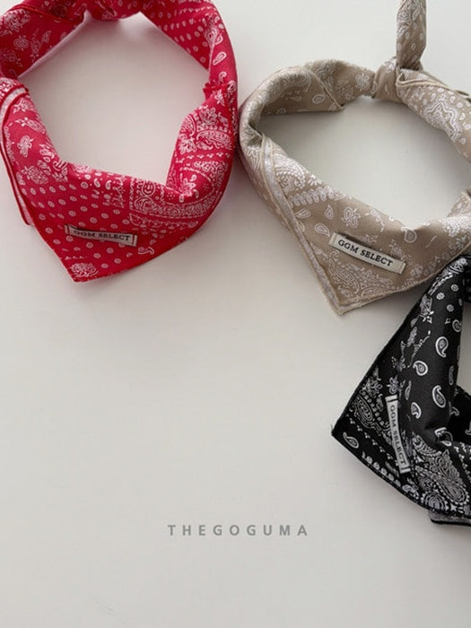 Little Foxx – Paisley Scarf