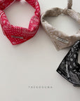 Little Foxx – Paisley Scarf