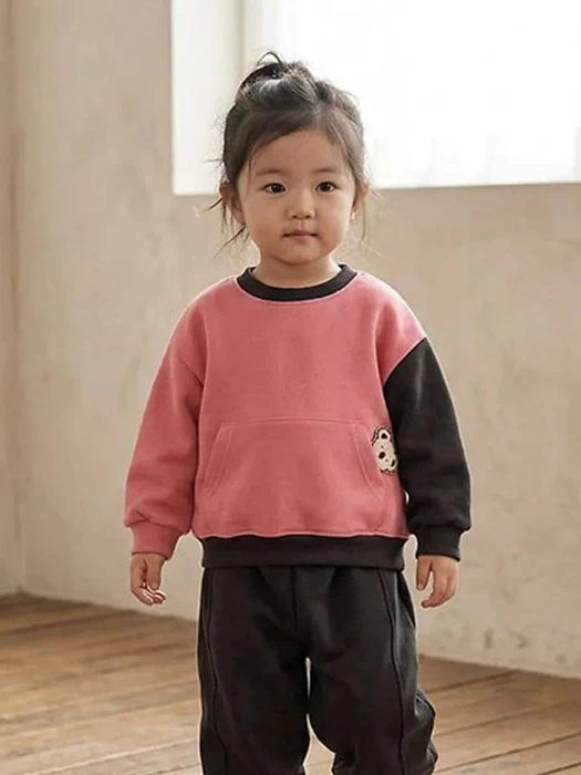 Little Foxx – Double Fleeced Koala Colorblock Sweatshirt