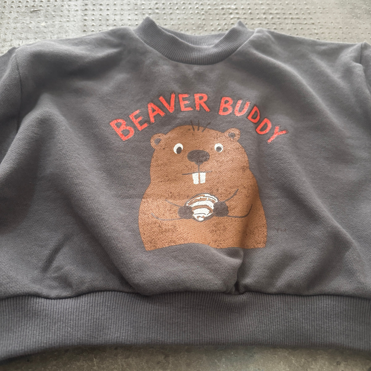Beaver Buddy Sweatshirt