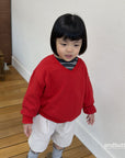 Little Foxx – Soft V-Neck Sweatshirt