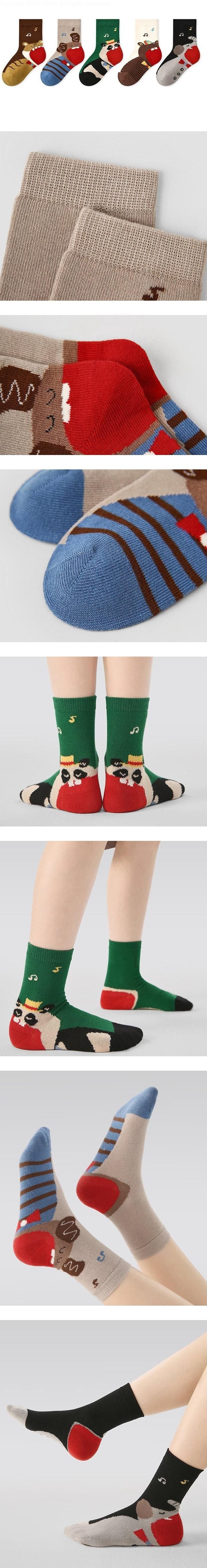 Little Foxx – Circus Socks Set