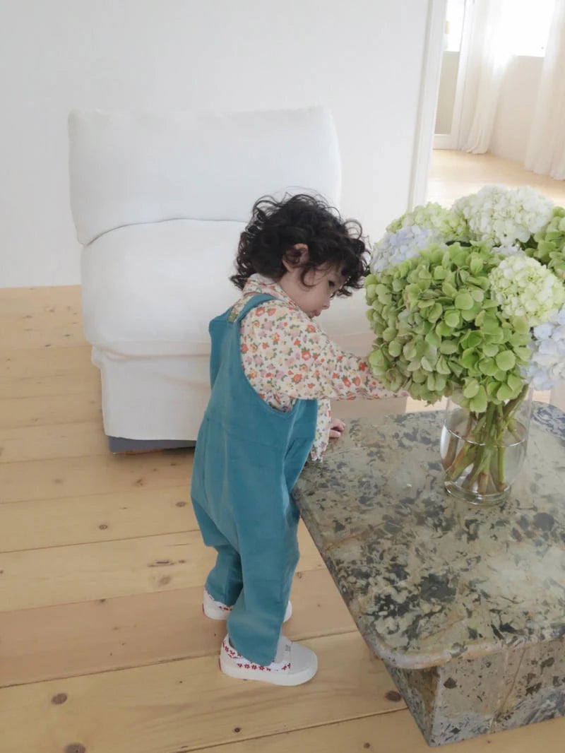 Little Foxx – Hachoo Overalls
