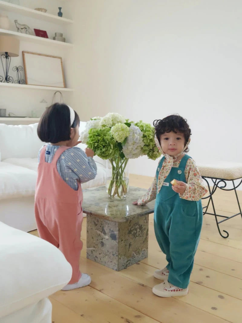 Little Foxx – Hachoo Overalls