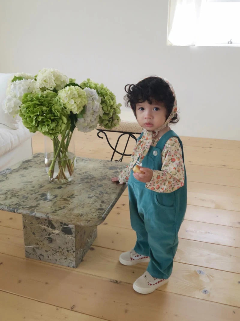 Little Foxx – Hachoo Overalls