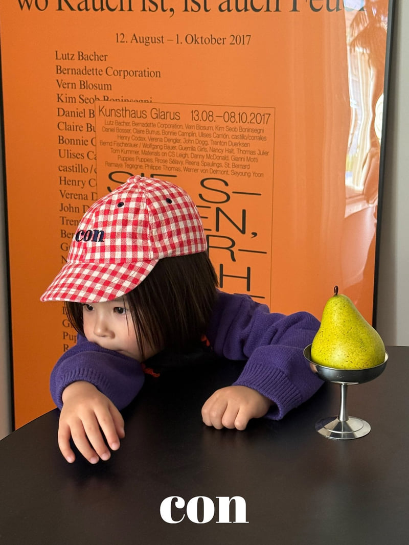 Little Foxx – Check Cap