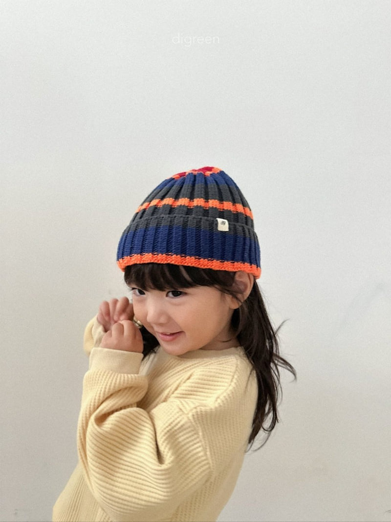 Multi Beanie