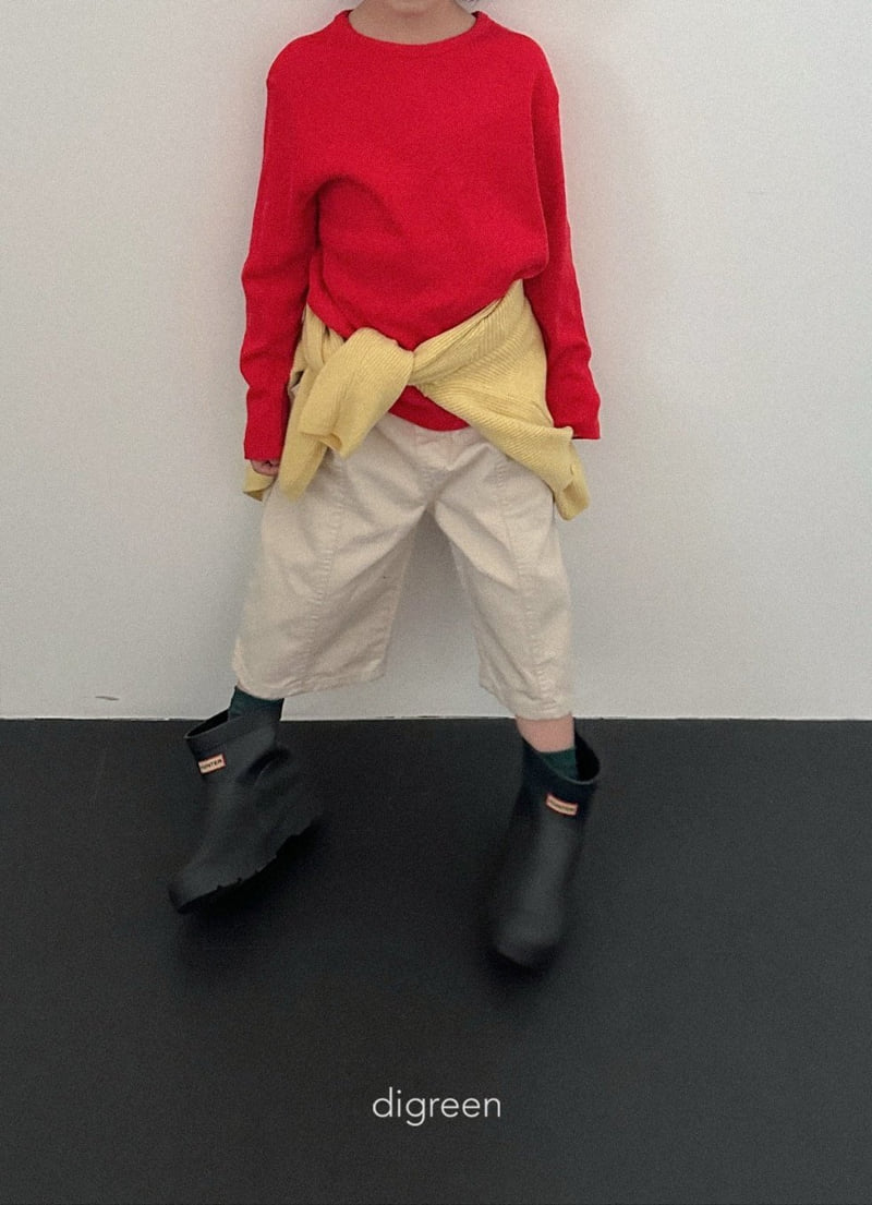 Panel Bermuda Pants
