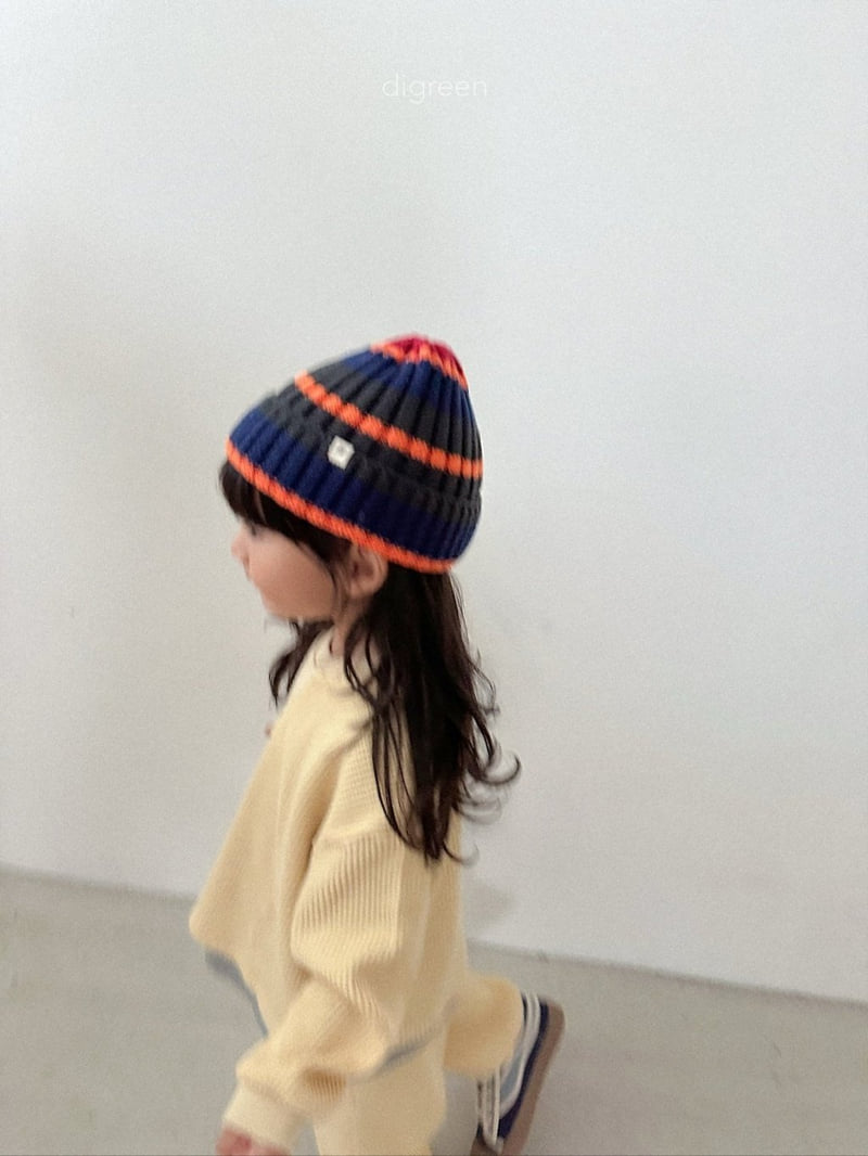 Multi Beanie