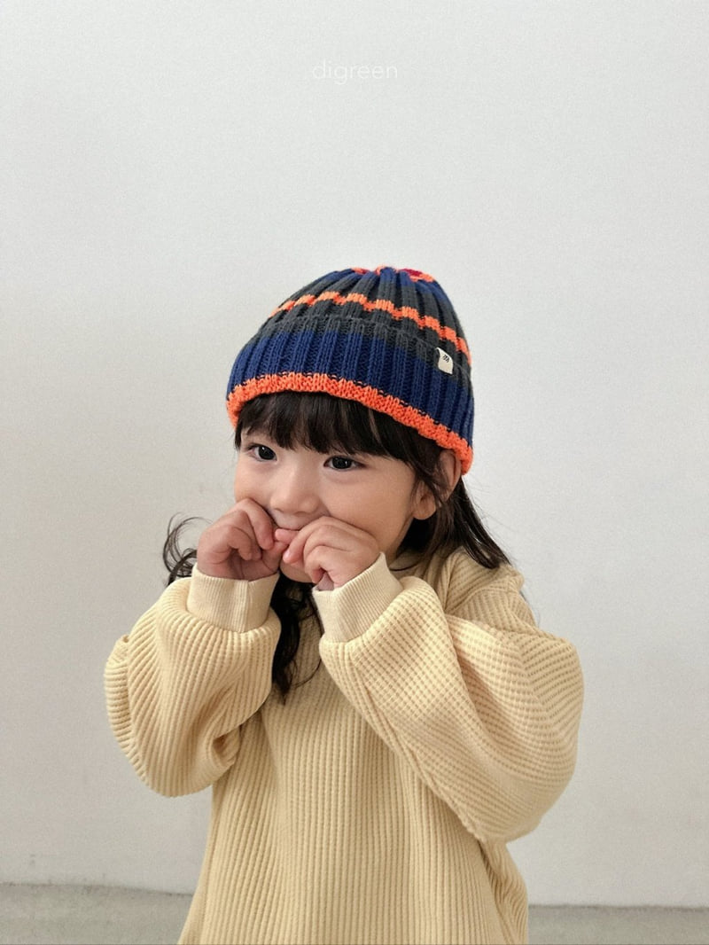 Multi Beanie