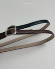 Acorn Belt
