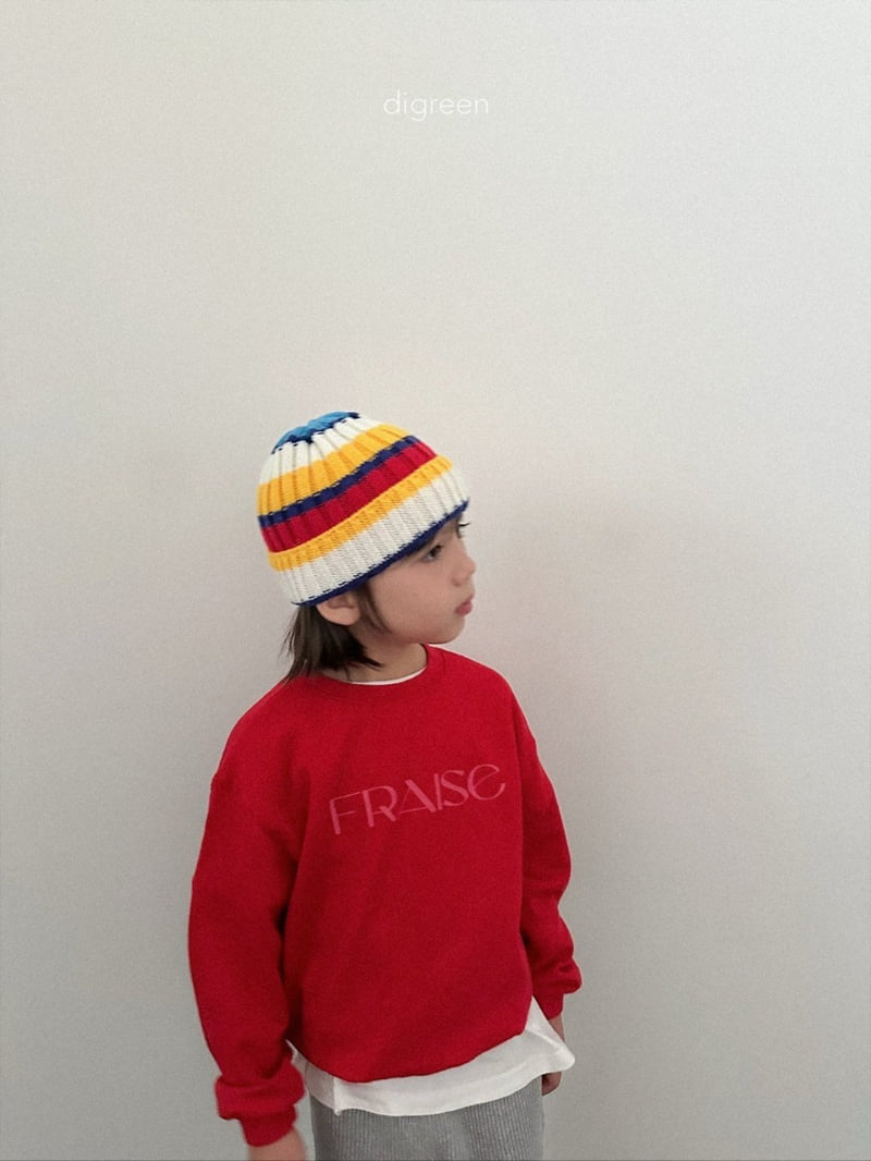 Multi Beanie