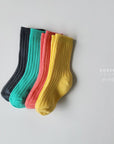 Little Foxx – Tropical Ribbed Sock Set
