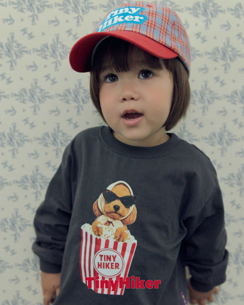 Little Foxx – Autumn Check Ball Cap