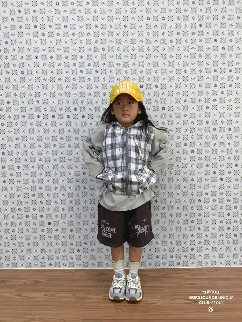 Hooded Check Vest1_byLittleFox_jetztvorbestellen