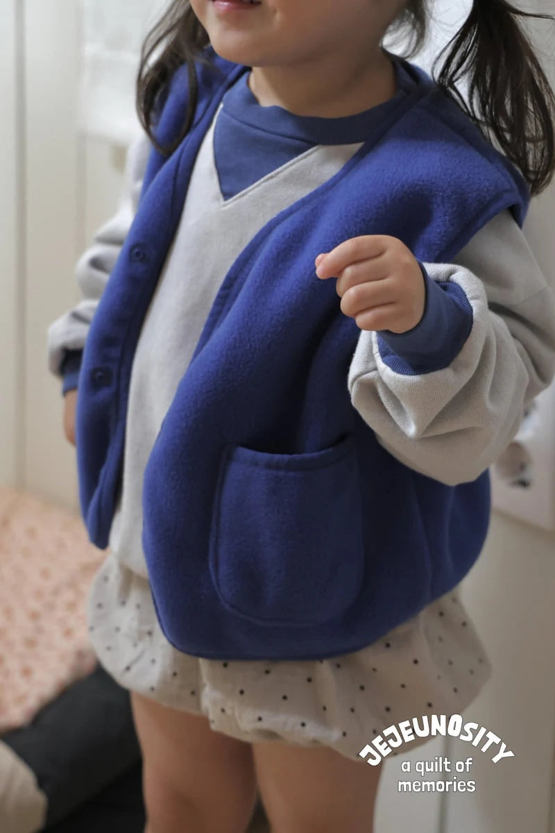 Little Foxx – Berry Sweatshirt