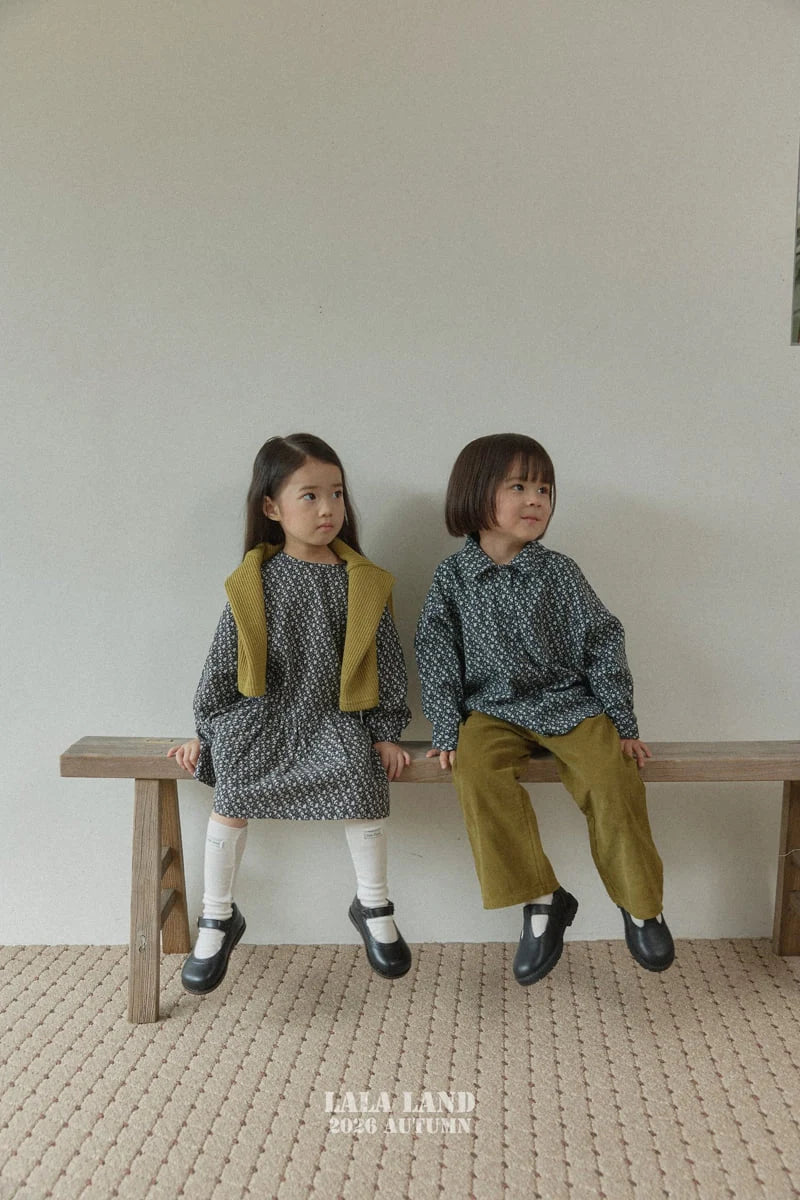 Little Foxx – Wave Socks