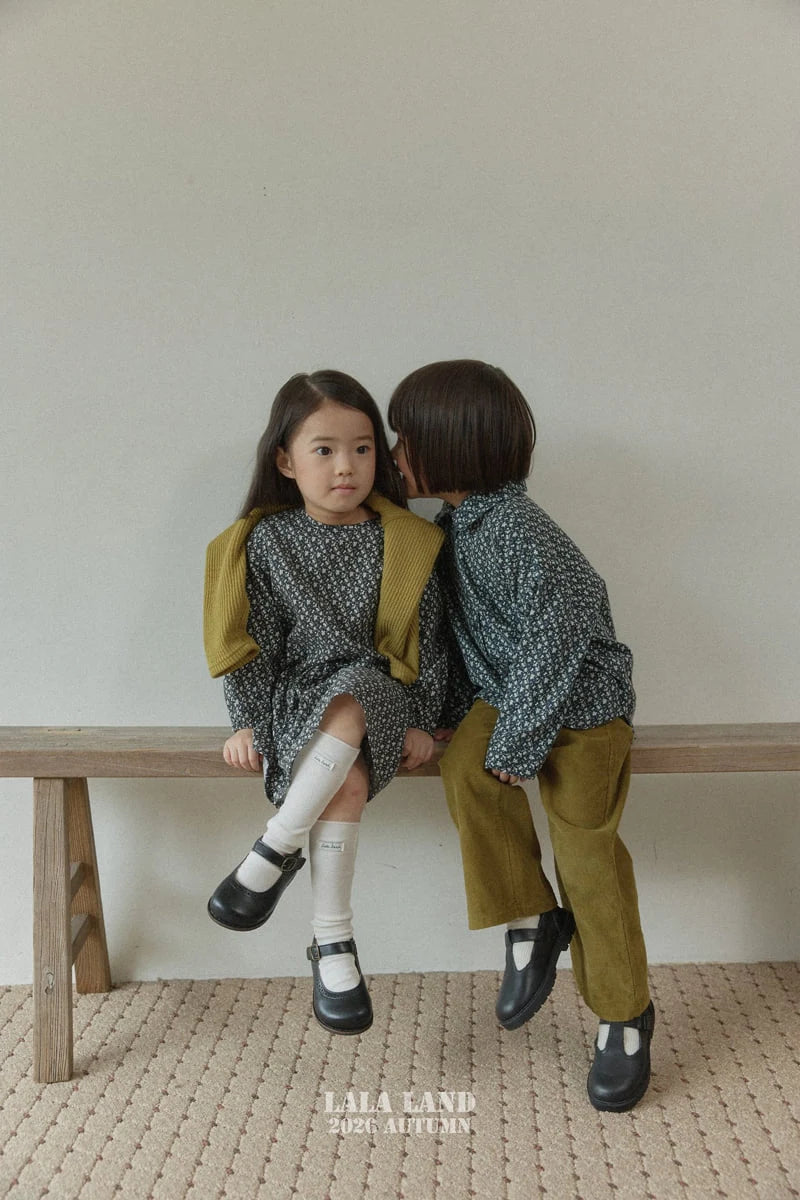 Little Foxx – Wave Socks