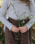 Little Foxx – Mone Corduroy Pants