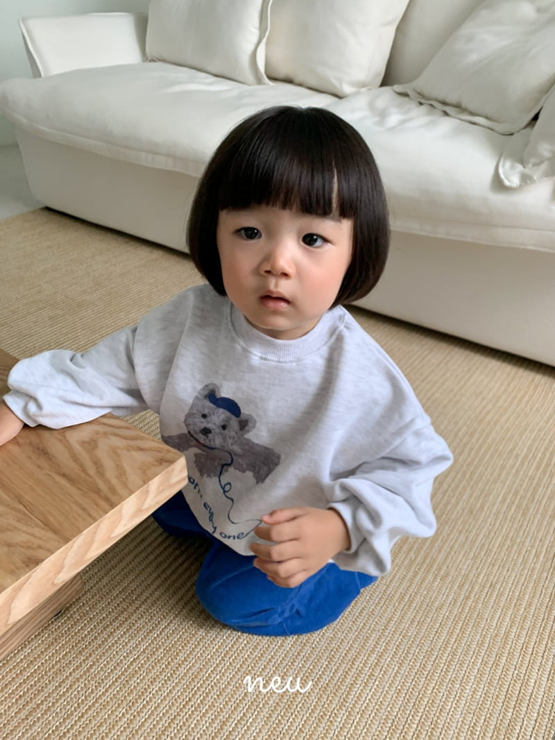 Little Foxx – Puppy Sweatshirts