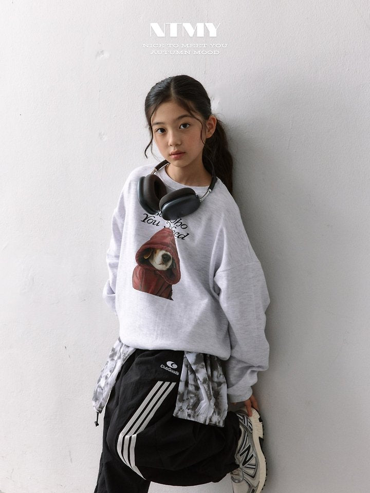 Little Foxx – Beagle Sweatshirt