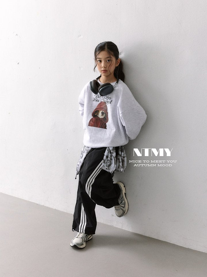 Little Foxx – Beagle Sweatshirt