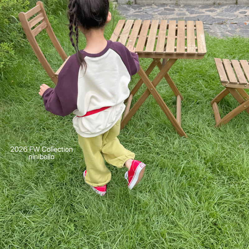 Little Foxx – Little Raglan Sweatshirt