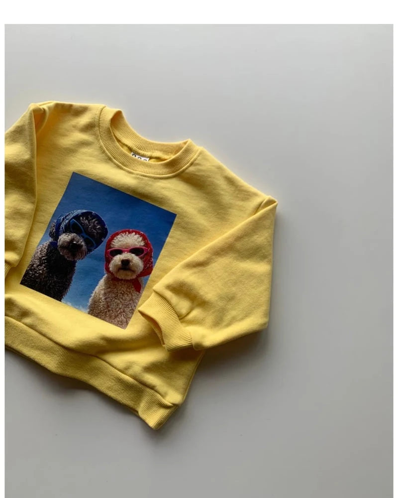 Little Foxx – Marco Sweatshirt