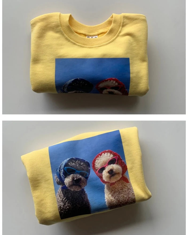 Little Foxx – Marco Sweatshirt