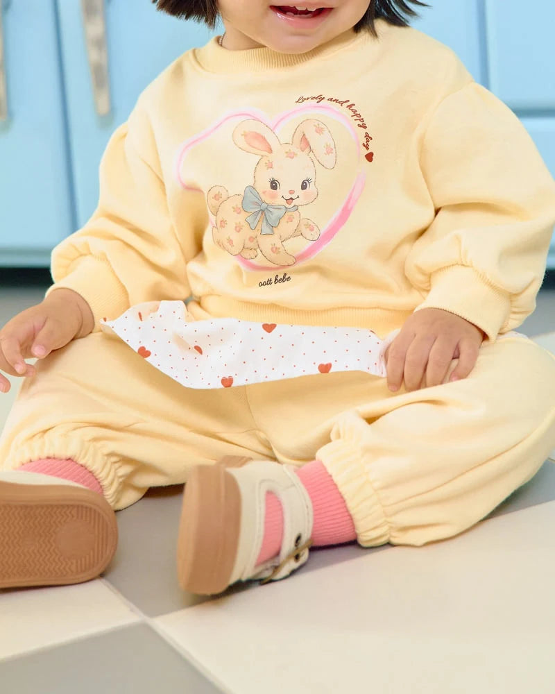 Cute Rabbit Set