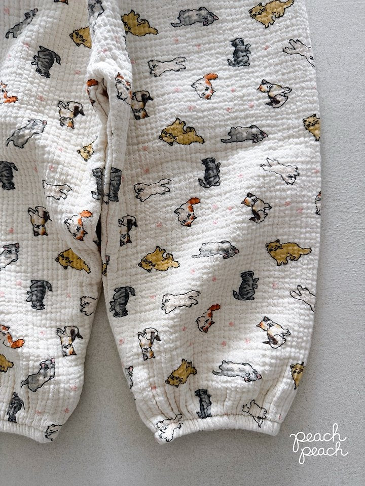Little Foxx – Autumn Pants