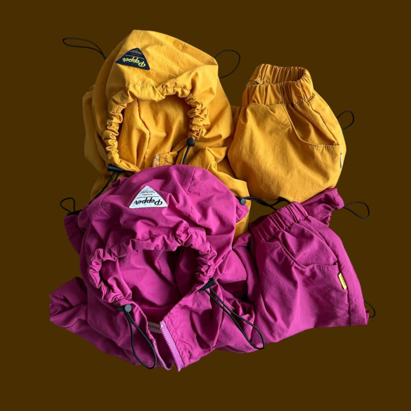Curry Windbreaker